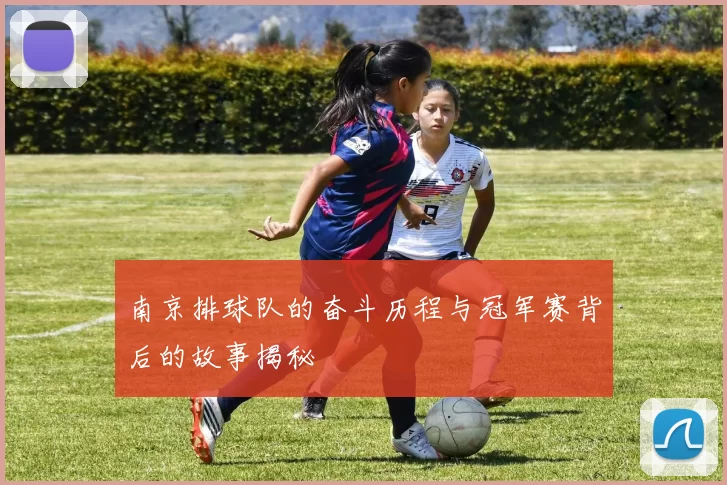 南京排球队的奋斗历程与冠军赛背后的故事揭秘